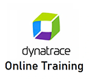 Dynatrace Dumps Exams